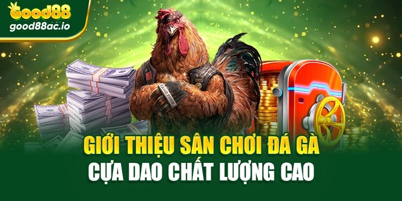 Giới thiệu sân chơi đá gà cựa dao chất lượng cao