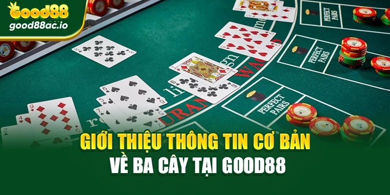 Giới thiệu thông tin cơ bản về ba cây tại Good88